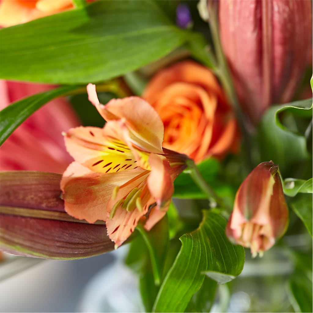 Bold & Bright – A Florist Original –  Buckeye Flowers, Marysville OH