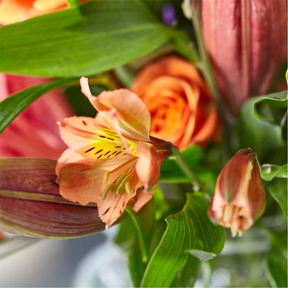 Bold & Bright – A Florist Original –  Buckeye Flowers, Marysville OH