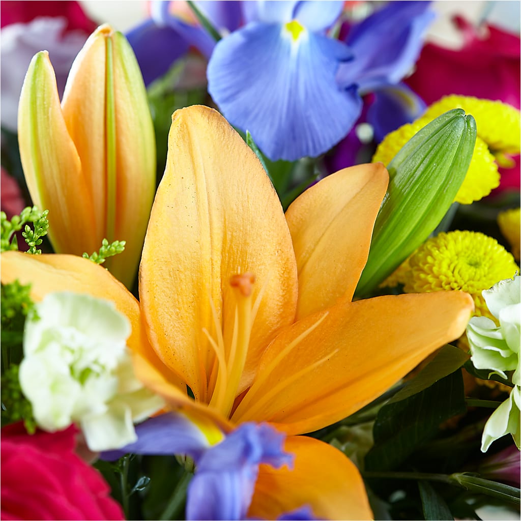 Bold & Bright – A Florist Original –  Buckeye Flowers, Marysville OH