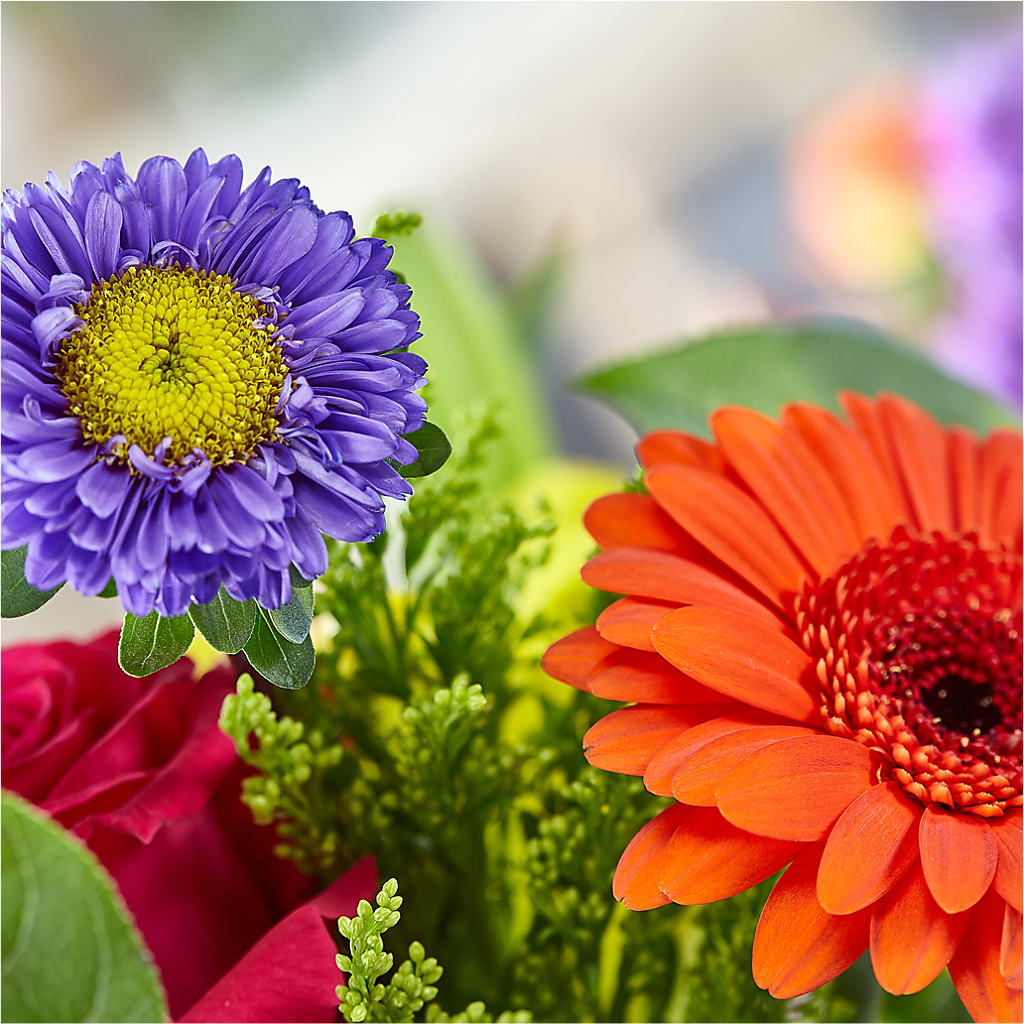 Bold & Bright – A Florist Original –  Buckeye Flowers, Marysville OH