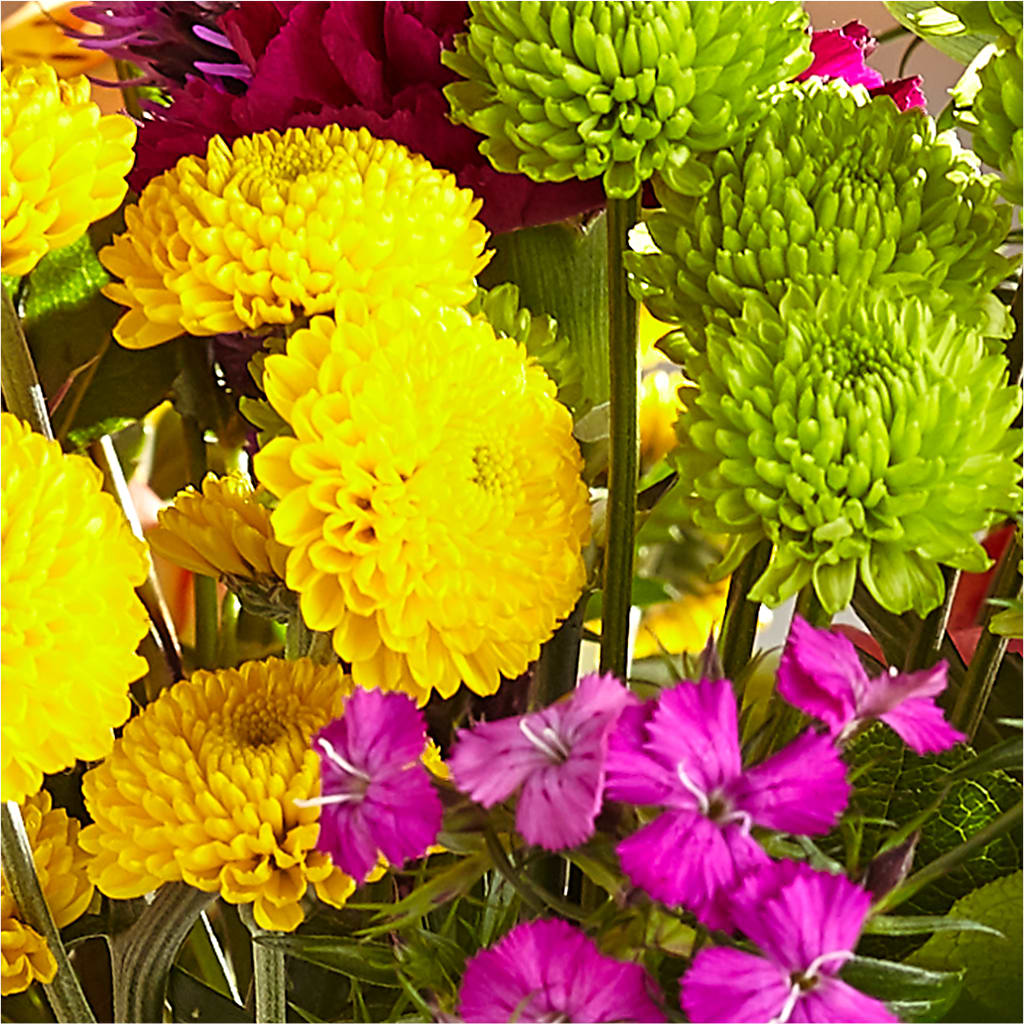 Bold & Bright – A Florist Original –  Buckeye Flowers, Marysville OH