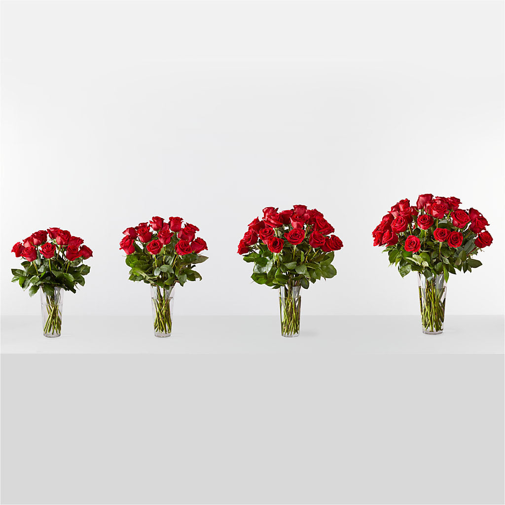 Long Stem Red Rose Bouquet –  Buckeye Flowers, Marysville OH