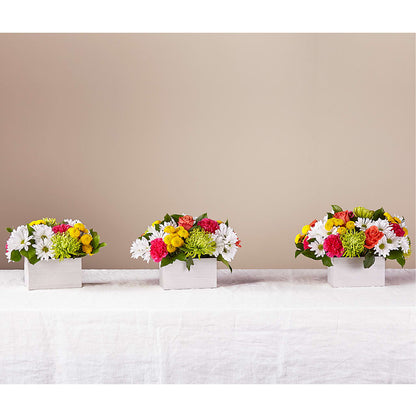 Sorbet Bouquet –  Buckeye Flowers, Marysville OH