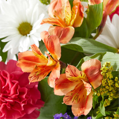 Oopsie Daisy Box Bouquet –  Buckeye Flowers, Marysville OH