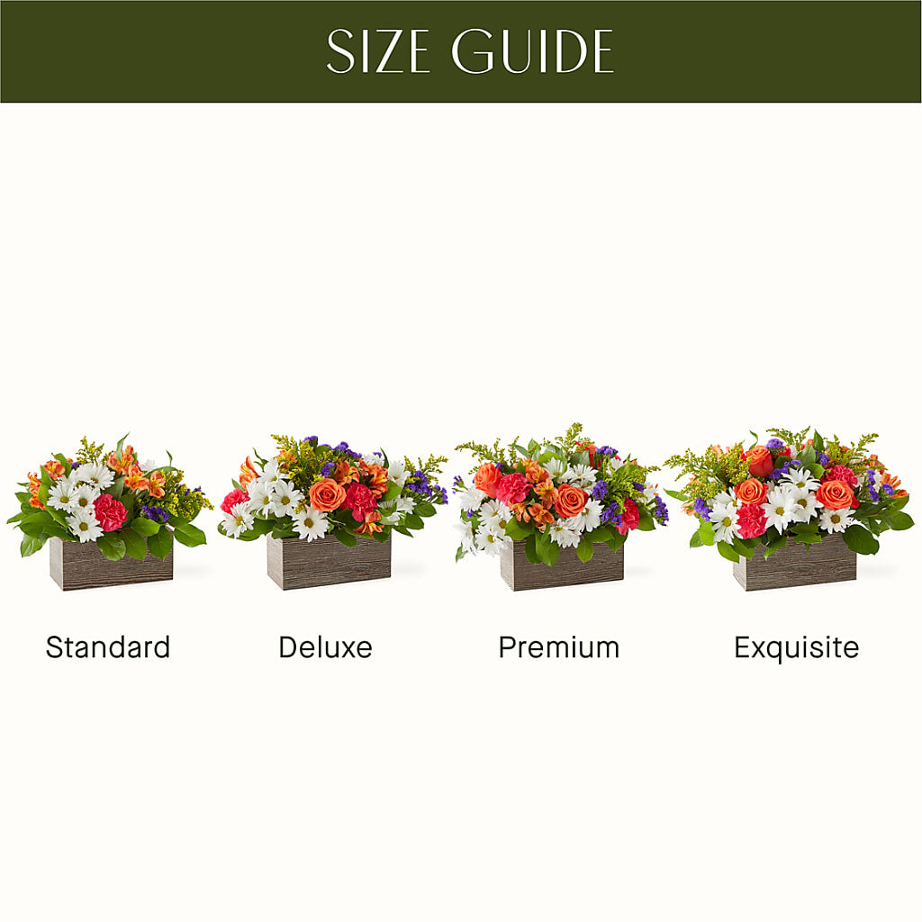 Oopsie Daisy Box Bouquet –  Buckeye Flowers, Marysville OH
