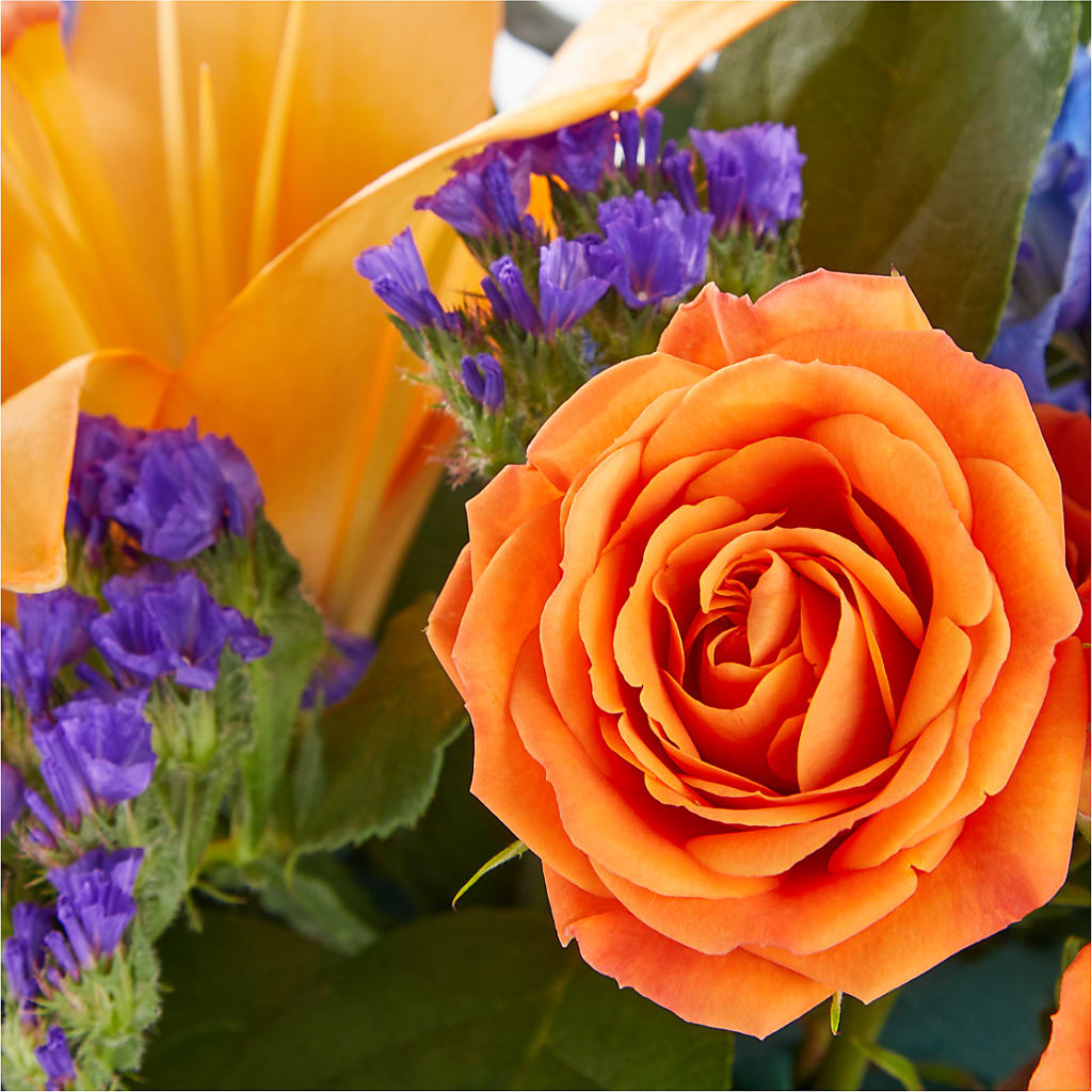 Radiant Citrus Box Bouquet –  Buckeye Flowers, Marysville OH