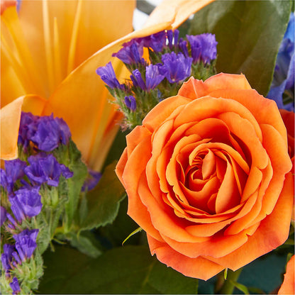 Radiant Citrus Box Bouquet –  Buckeye Flowers, Marysville OH