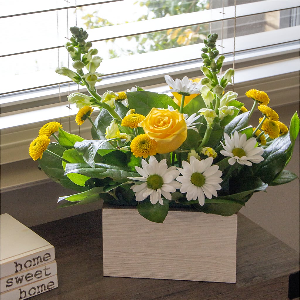 Sun Salutation Box Bouquet –  Buckeye Flowers, Marysville OH