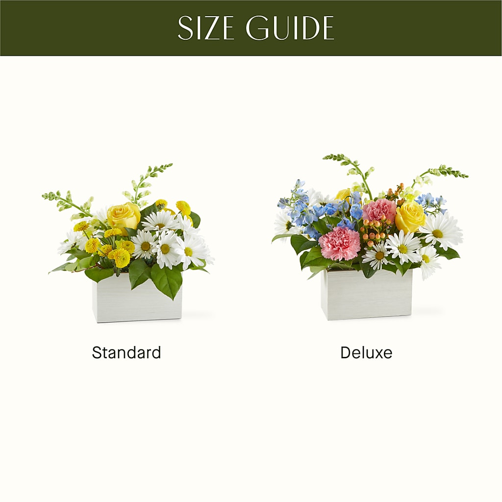 Sun Salutation Box Bouquet –  Buckeye Flowers, Marysville OH