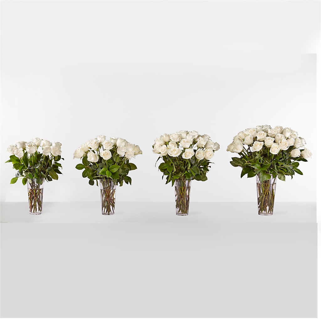 Long Stem White Rose Bouquet –  Buckeye Flowers, Marysville OH