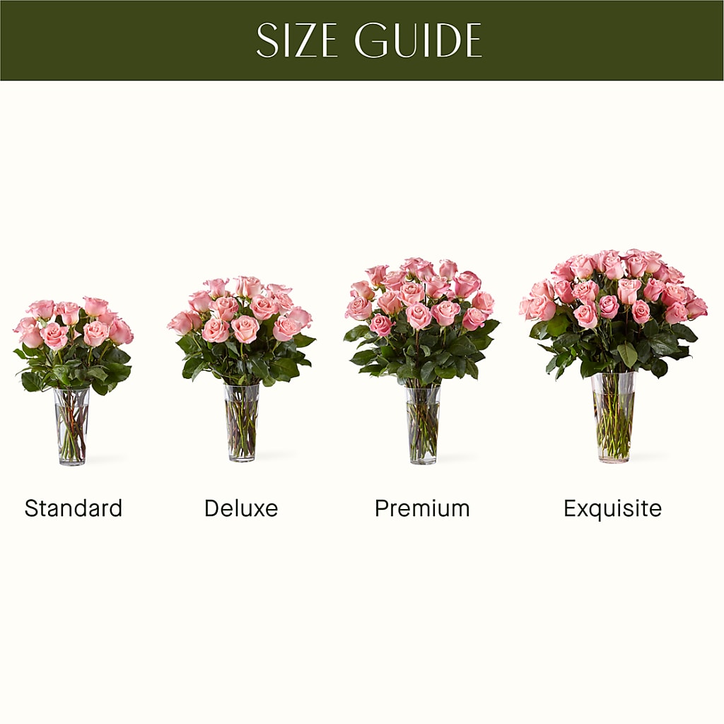 Long Stem Pink Rose Bouquet –  Buckeye Flowers, Marysville OH