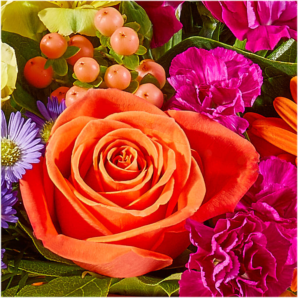 Tricks & Treats Pumpkin –  Buckeye Flowers, Marysville OH