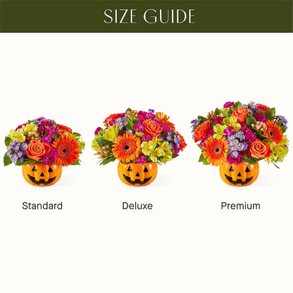 Tricks & Treats Pumpkin –  Buckeye Flowers, Marysville OH