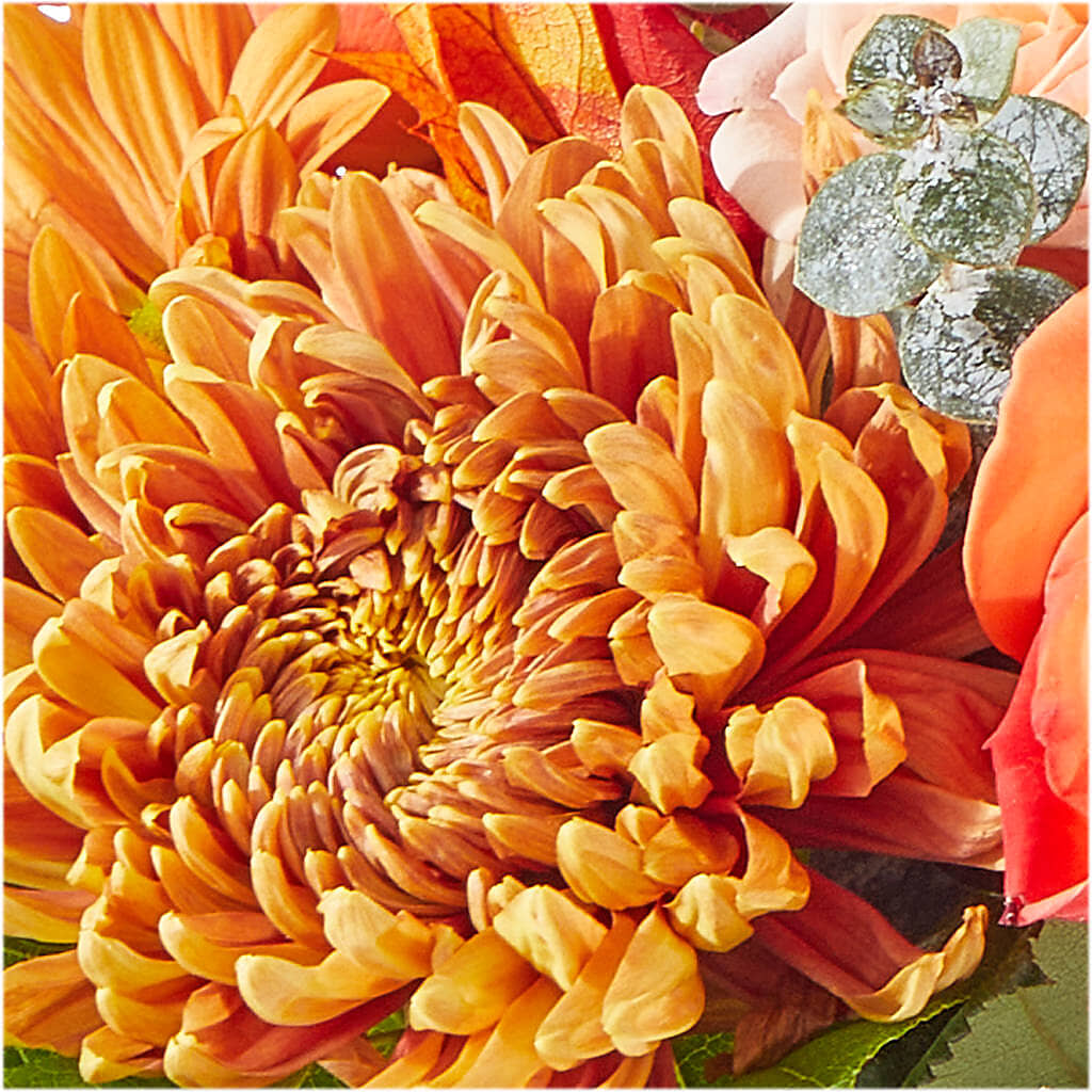 Scenic Route Bouquet –  Buckeye Flowers, Marysville OH