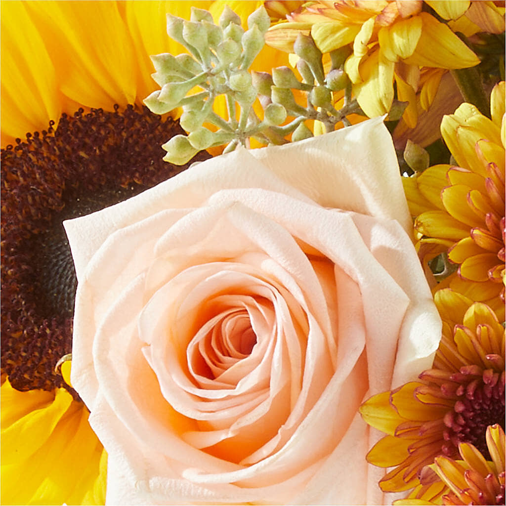 Pumpkin to Talk About Bouquet –  Buckeye Flowers, Marysville OH