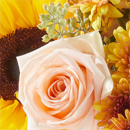 Pumpkin to Talk About Bouquet –  Buckeye Flowers, Marysville OH