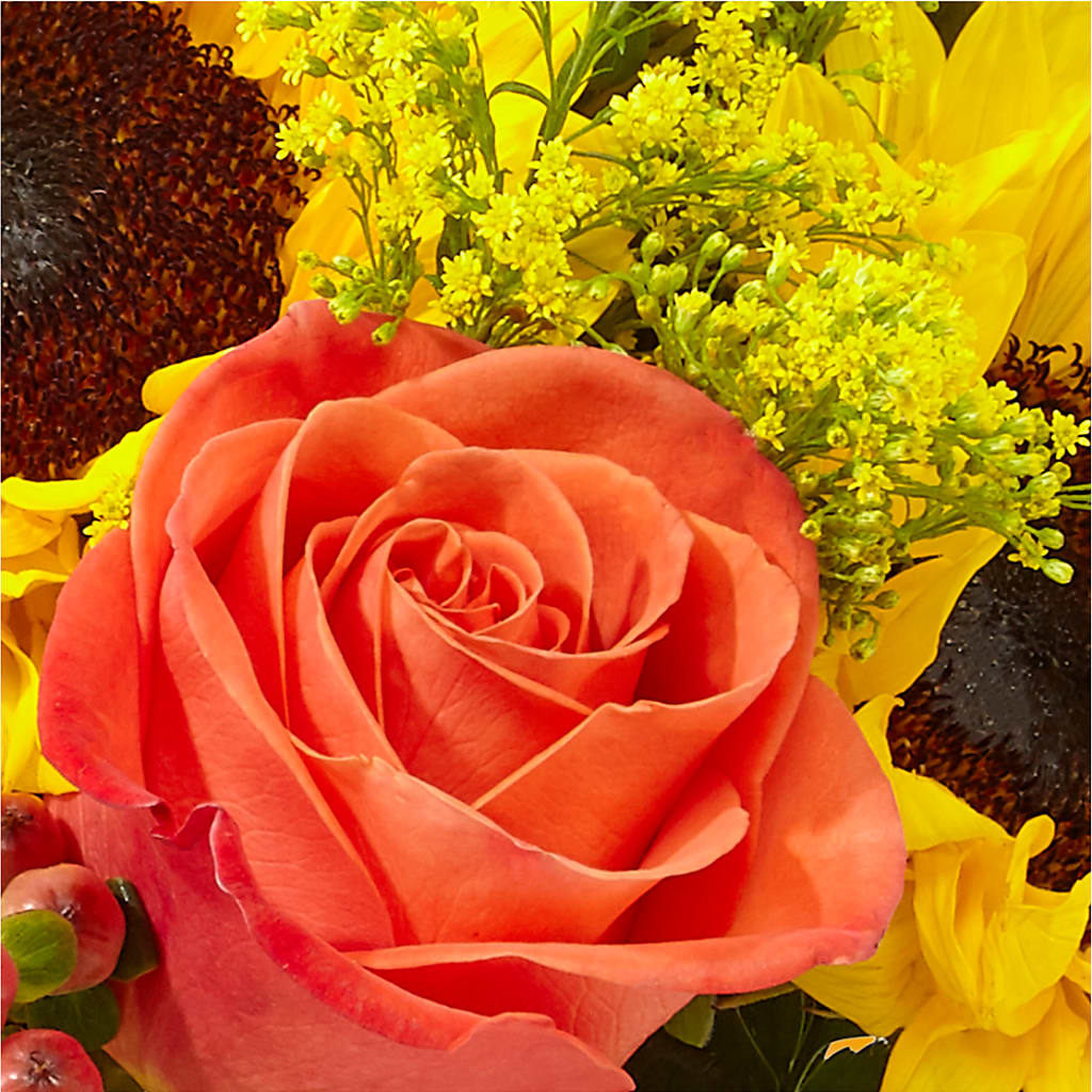 Pick of the Patch Pumpkin Bouquet –  Buckeye Flowers, Marysville OH
