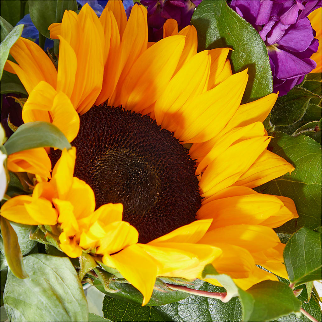 Catching Rays Bouquet –  Buckeye Flowers, Marysville OH