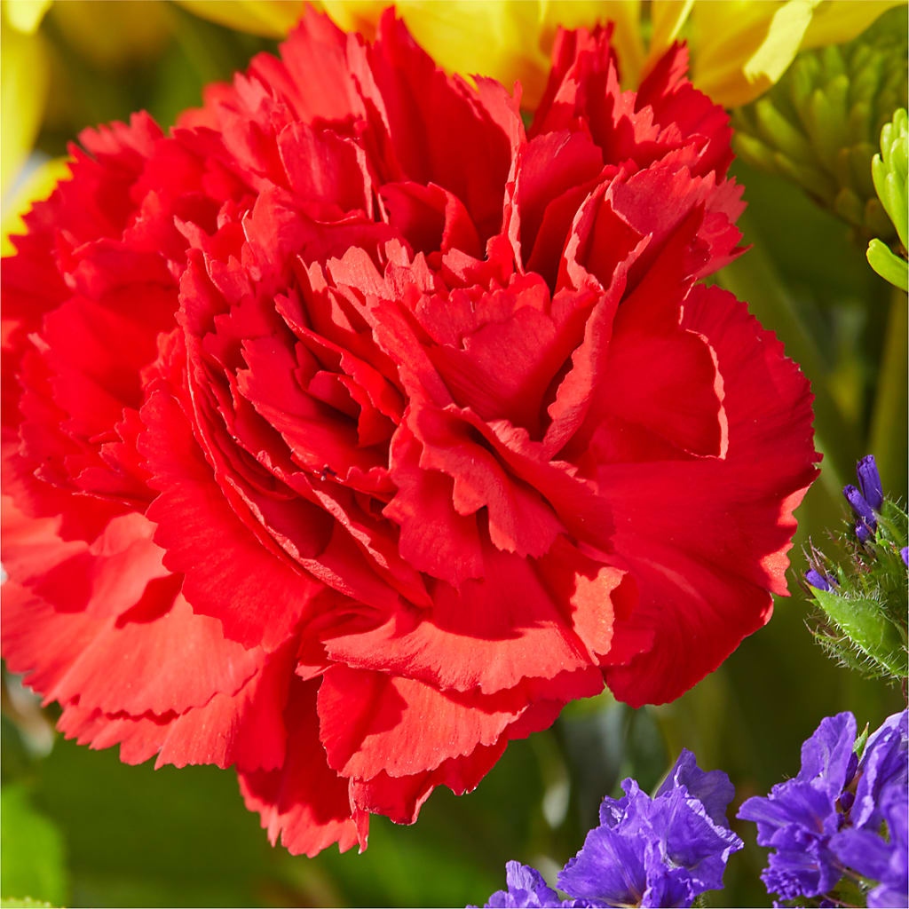 Brighter Days Bouquet –  Buckeye Flowers, Marysville OH