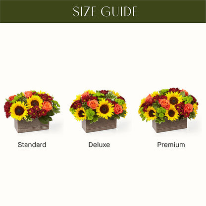 Happy Harvest Garden –  Buckeye Flowers, Marysville OH