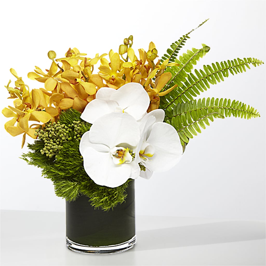 The Tropics –  Buckeye Flowers, Marysville OH
