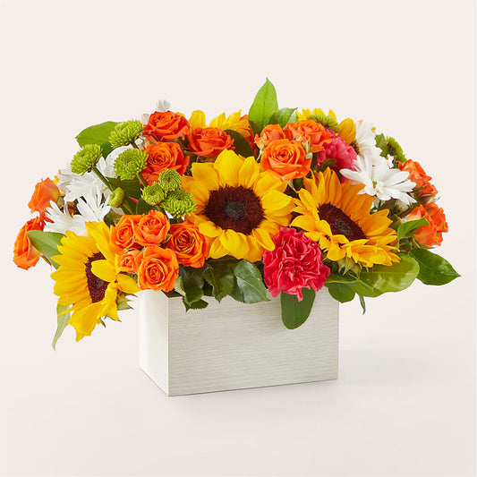 Sun-drenched Blooms Box Bouquet –  Buckeye Flowers, Marysville OH