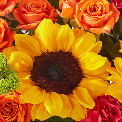 Sun-drenched Blooms Box Bouquet –  Buckeye Flowers, Marysville OH