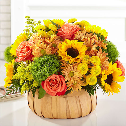 Harvest Sunflower Basket –  Buckeye Flowers, Marysville OH