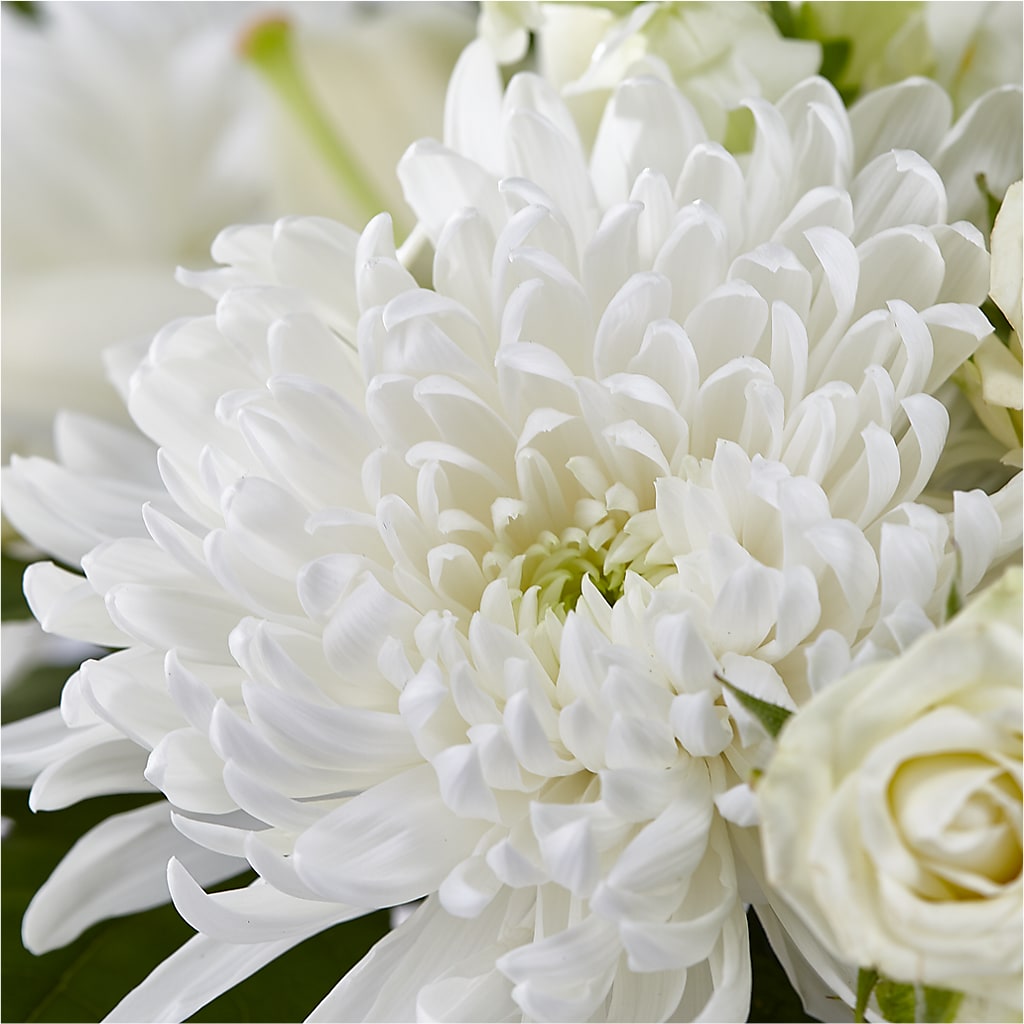 Classic Ivory – A Florist Original –  Buckeye Flowers, Marysville OH