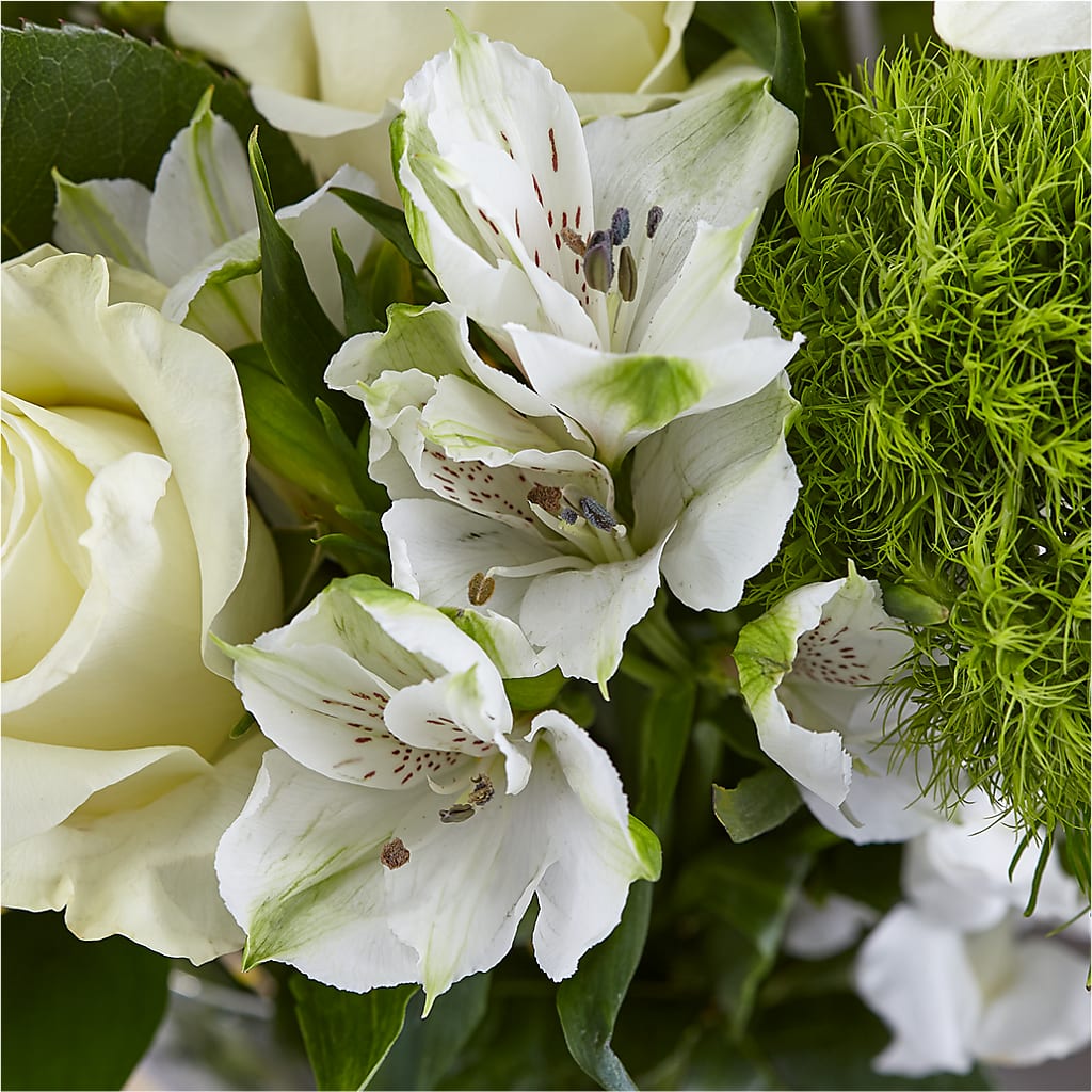 Classic Ivory – A Florist Original –  Buckeye Flowers, Marysville OH