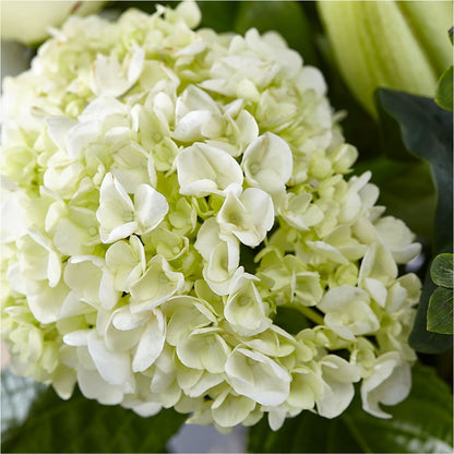 Classic Ivory – A Florist Original –  Buckeye Flowers, Marysville OH