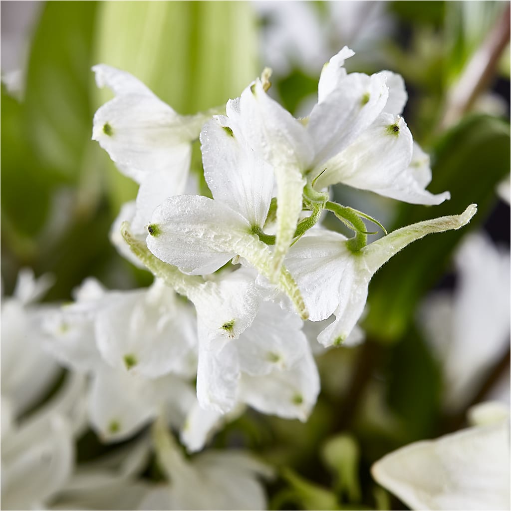 Classic Ivory – A Florist Original –  Buckeye Flowers, Marysville OH