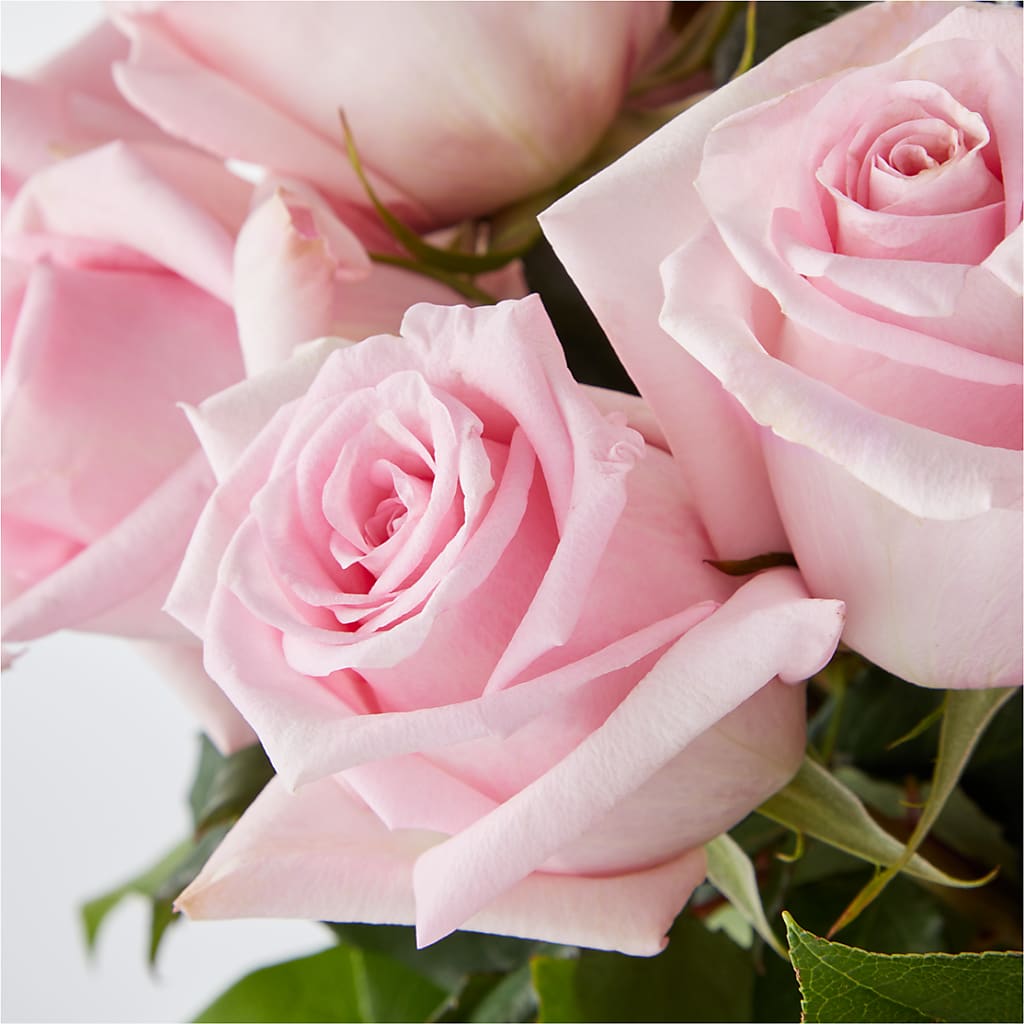 Picture Perfect Pink Rose Bouquet –  Buckeye Flowers, Marysville OH