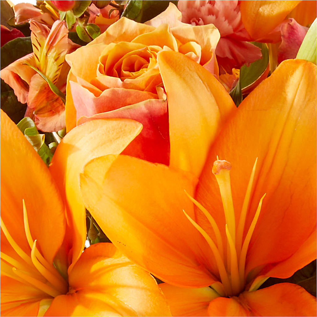 Afternoon Light Bouquet –  Buckeye Flowers, Marysville OH