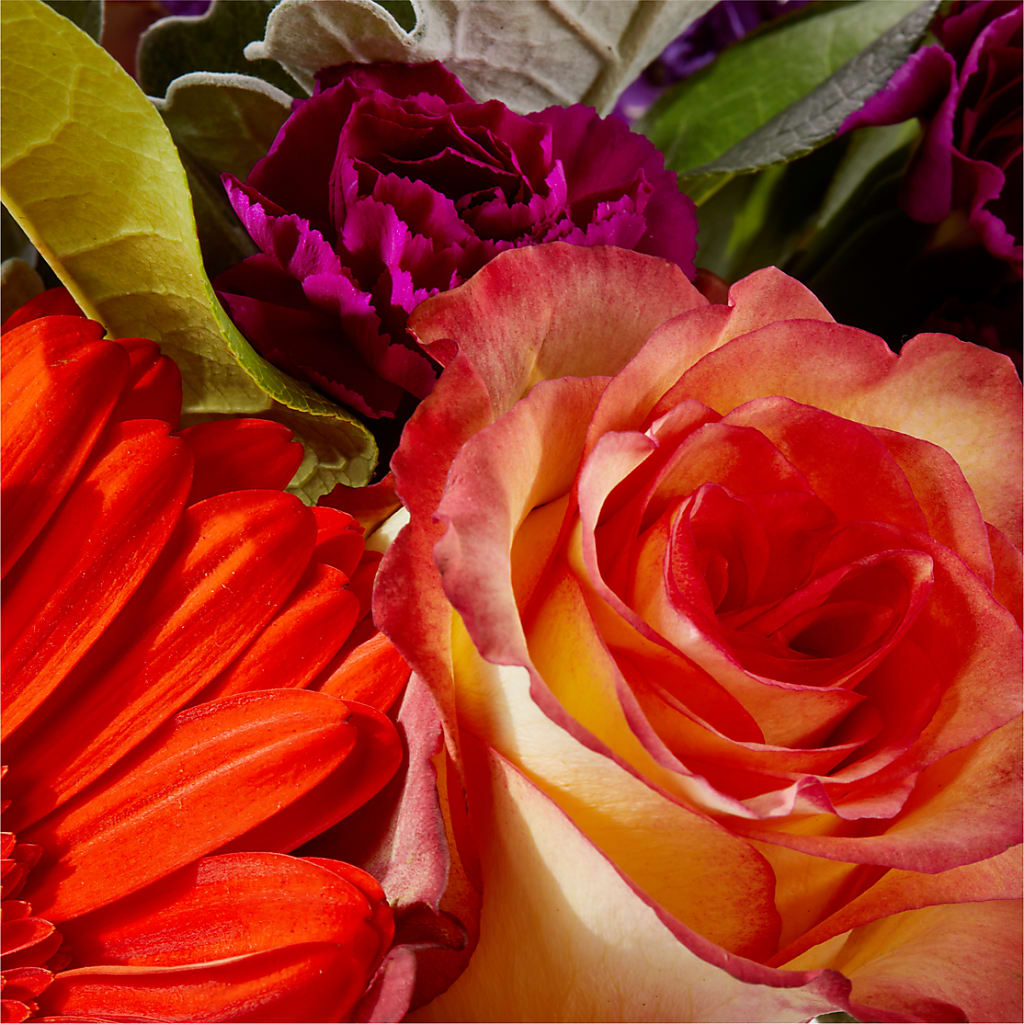 Sangria Bouquet –  Buckeye Flowers, Marysville OH