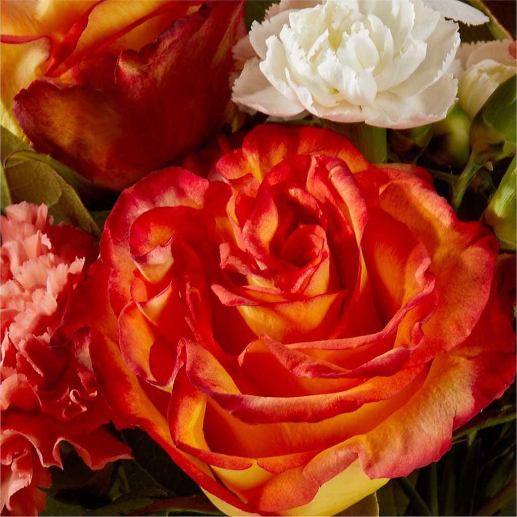 Apricot Glow Bouquet –  Buckeye Flowers, Marysville OH