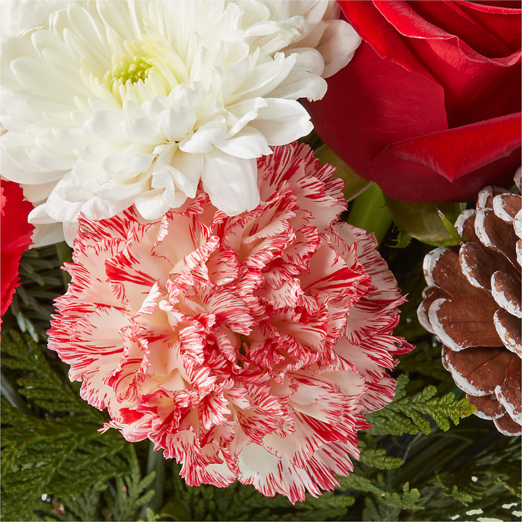Candy Cane Lane Bouquet –  Buckeye Flowers, Marysville OH