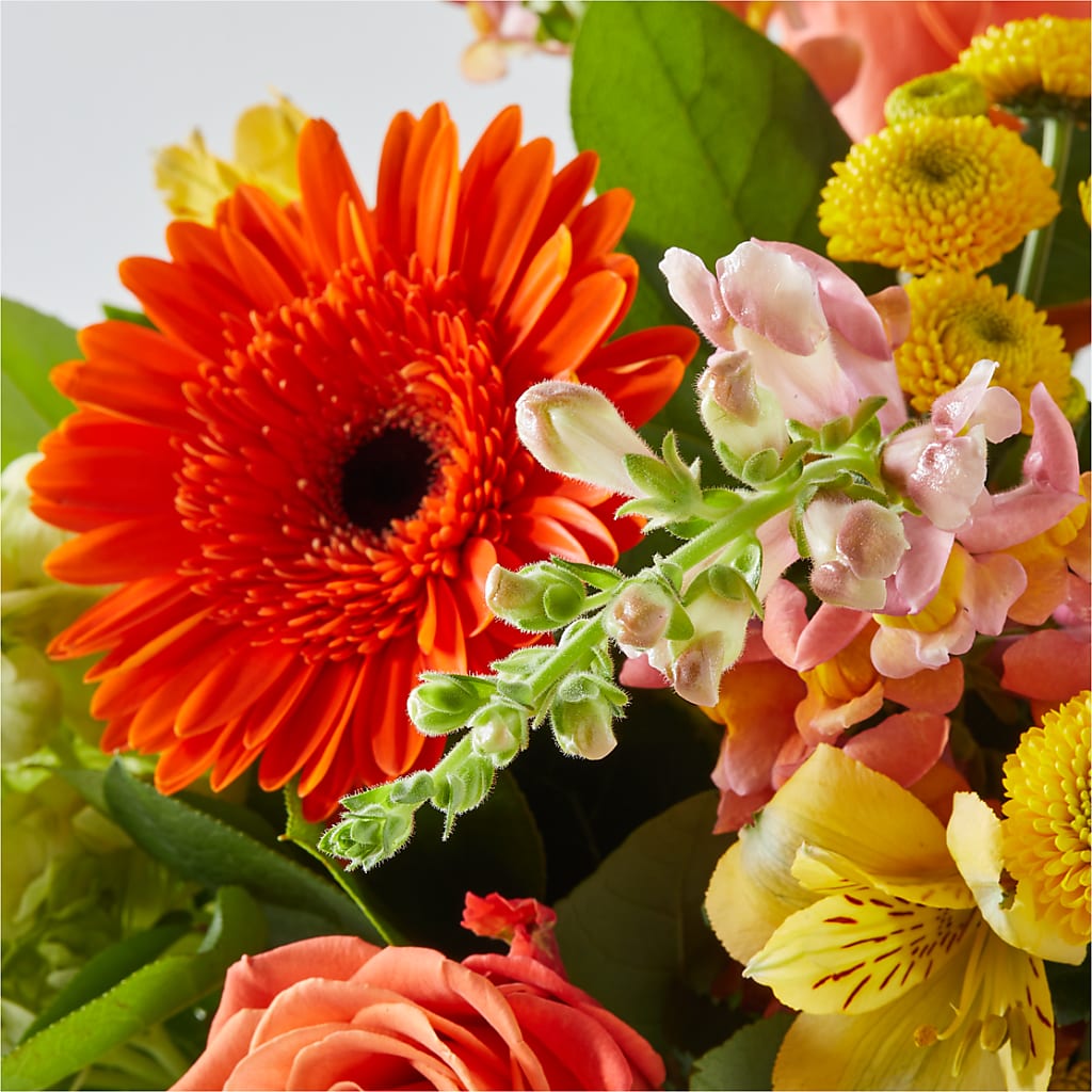 Autumn Sunshine Bouquet –  Buckeye Flowers, Marysville OH