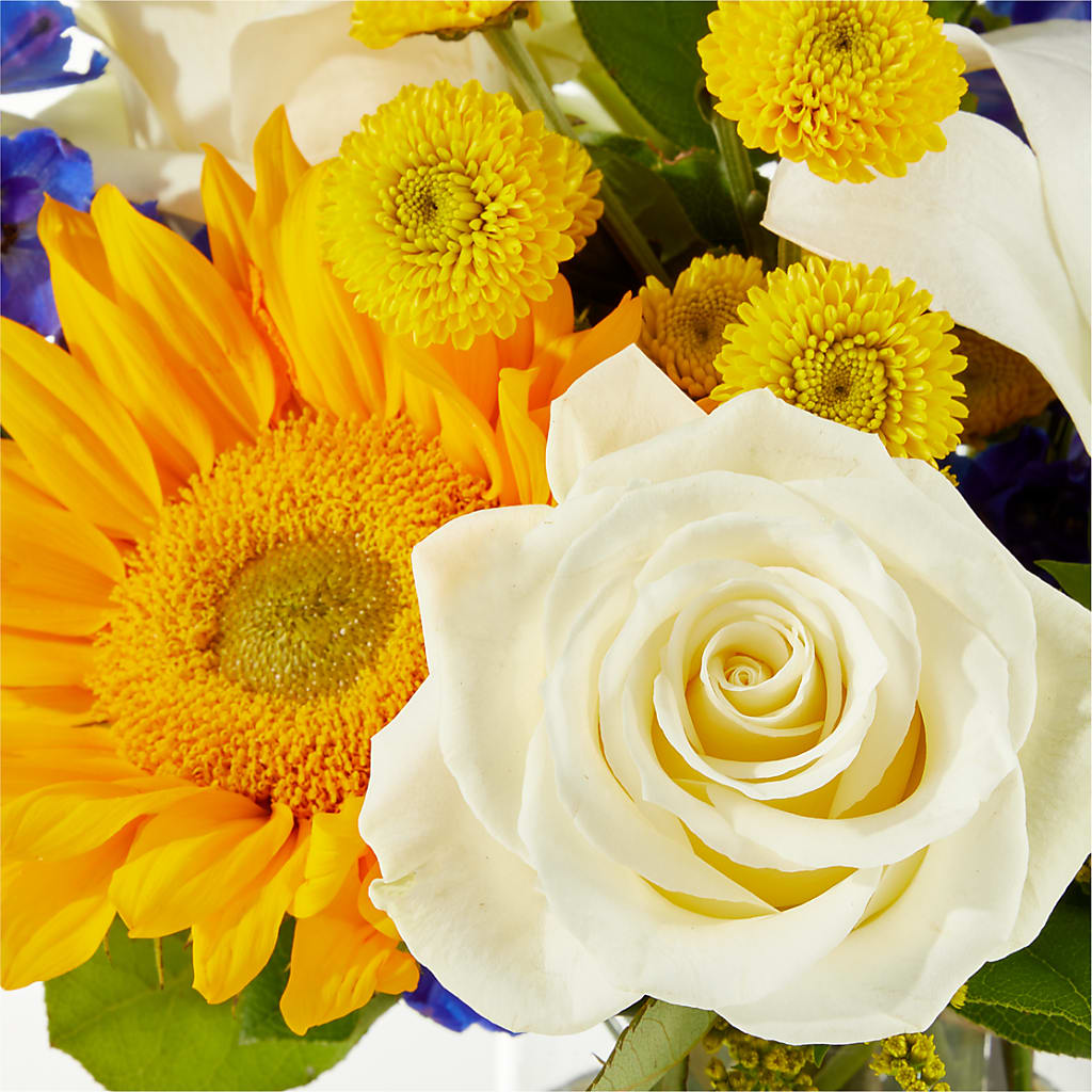 Stargazing Bouquet –  Buckeye Flowers, Marysville OH