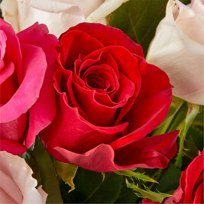 Charming Rose Bouquet –  Buckeye Flowers, Marysville OH