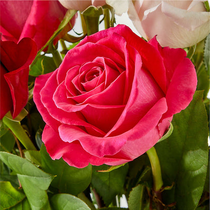 Charming Rose Bouquet –  Buckeye Flowers, Marysville OH