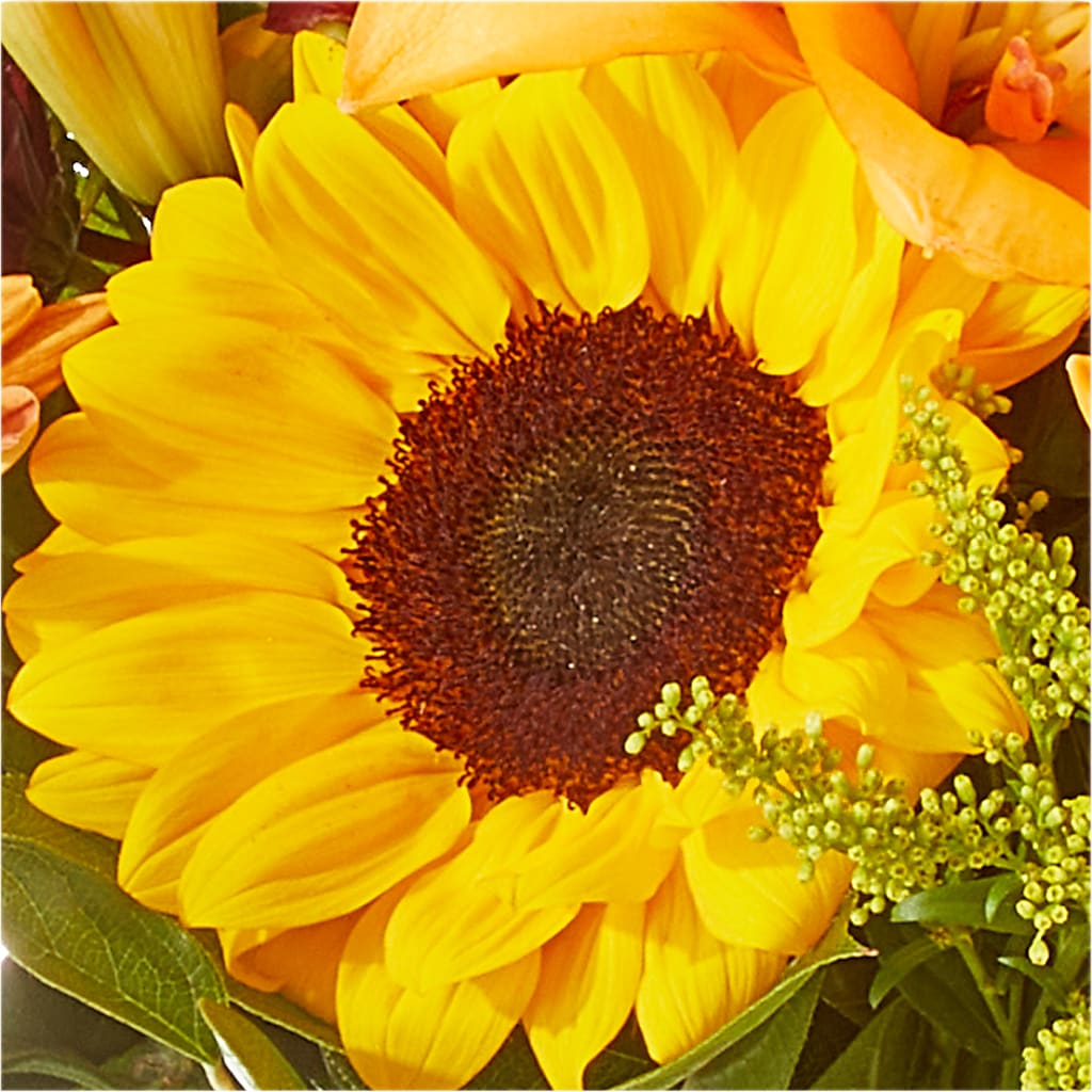 Seasons Change Bouquet –  Buckeye Flowers, Marysville OH