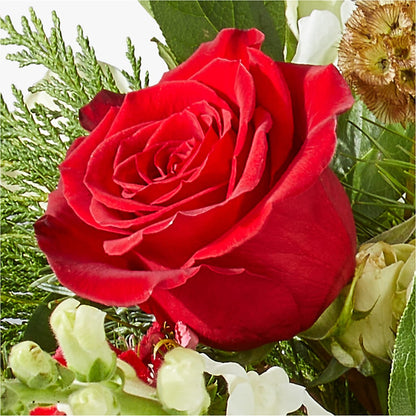 Deck the Halls Bouquet –  Buckeye Flowers, Marysville OH