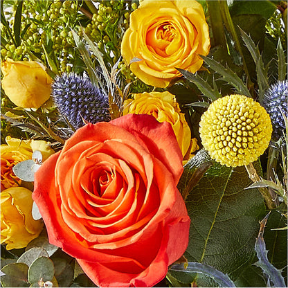 Disco Bouquet –  Buckeye Flowers, Marysville OH
