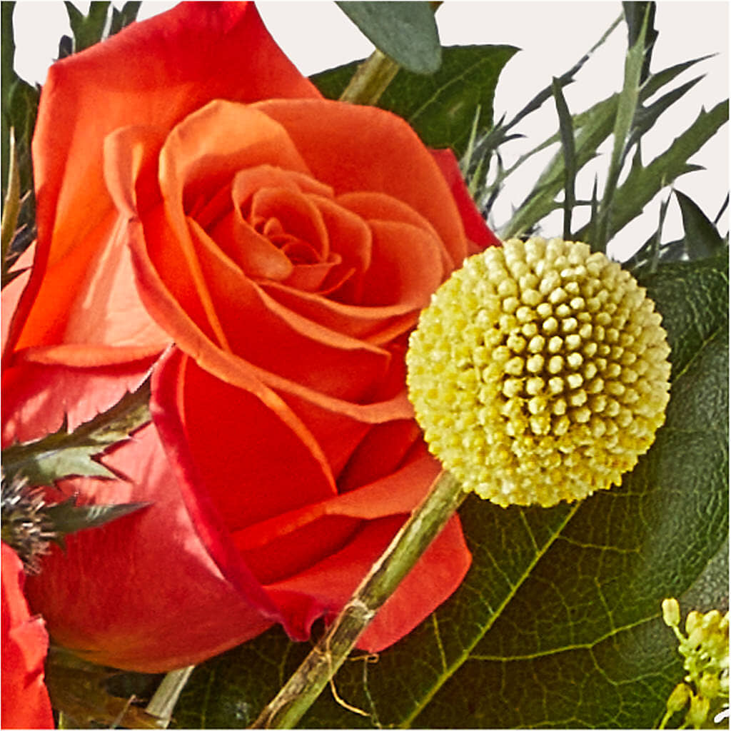 Disco Bouquet –  Buckeye Flowers, Marysville OH