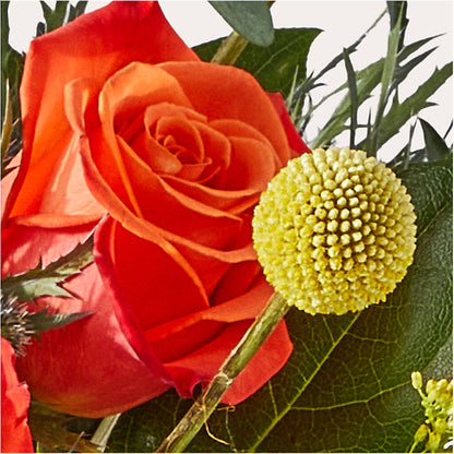 Disco Bouquet –  Buckeye Flowers, Marysville OH