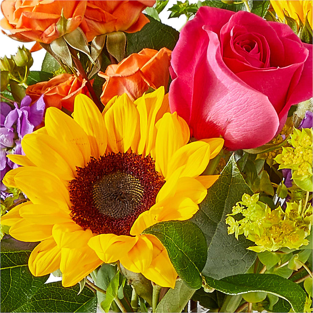 Vibrant Greetings Bouquet –  Buckeye Flowers, Marysville OH