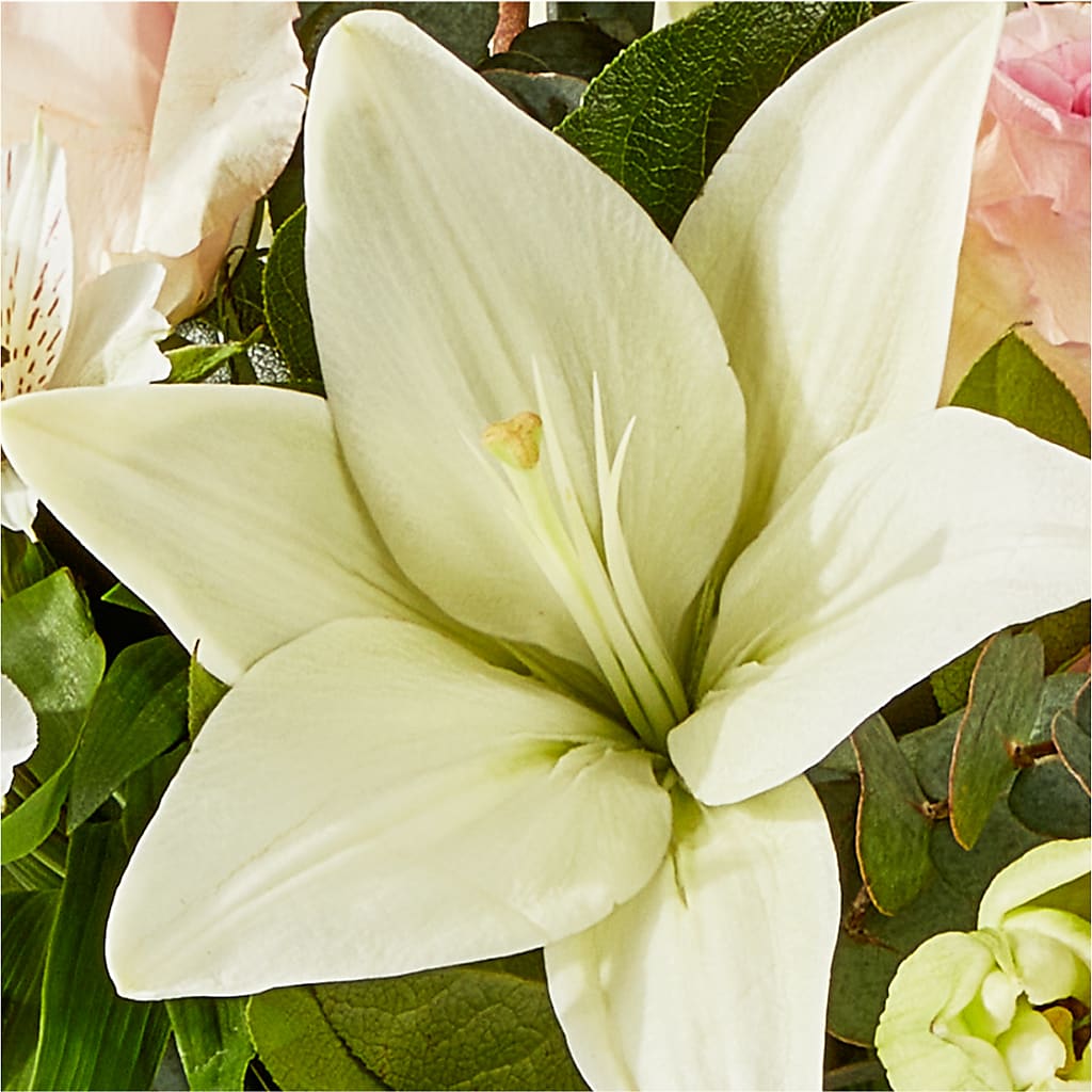 Ballet Slippers Bouquet –  Buckeye Flowers, Marysville OH