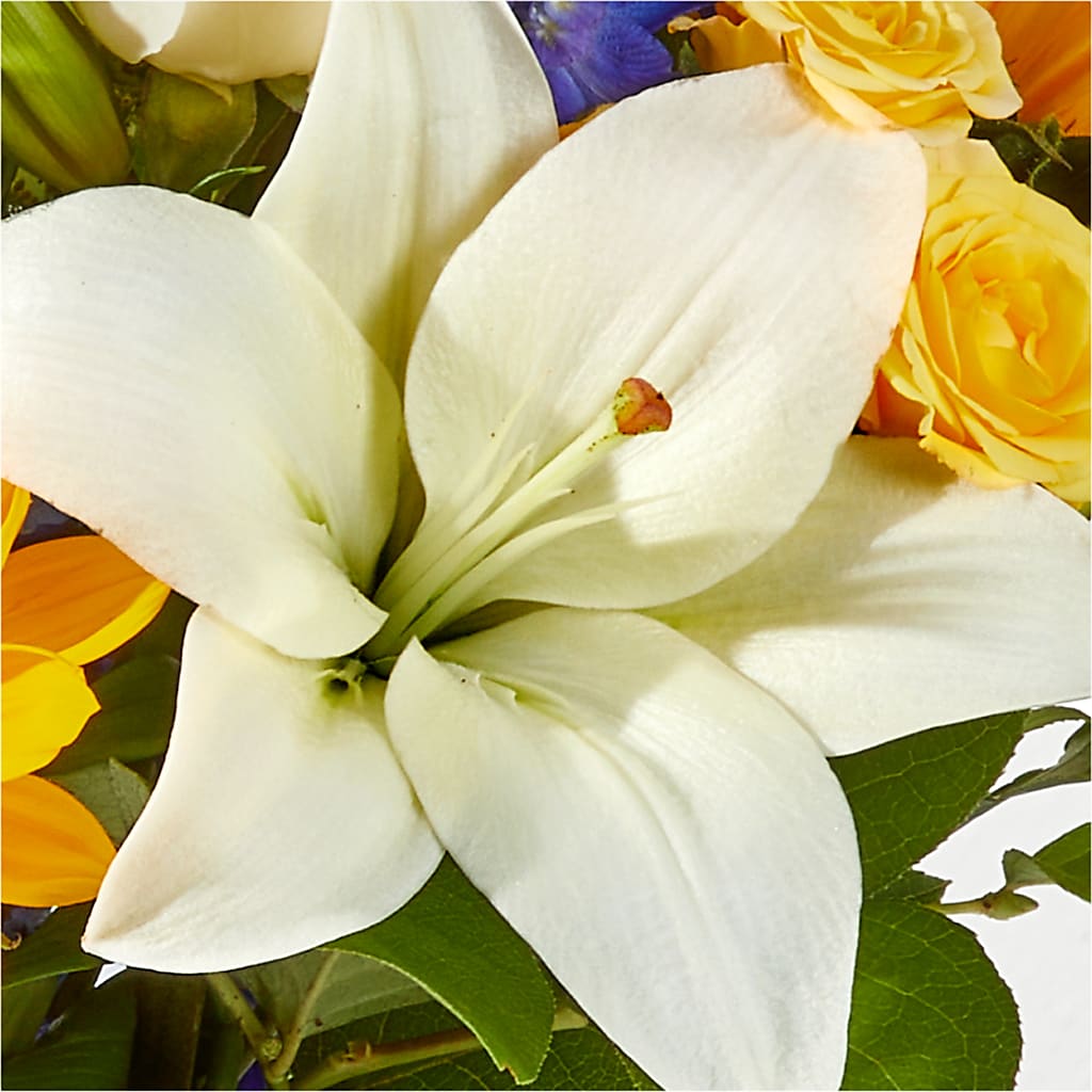 Wonderfully Sunny Bouquet –  Buckeye Flowers, Marysville OH