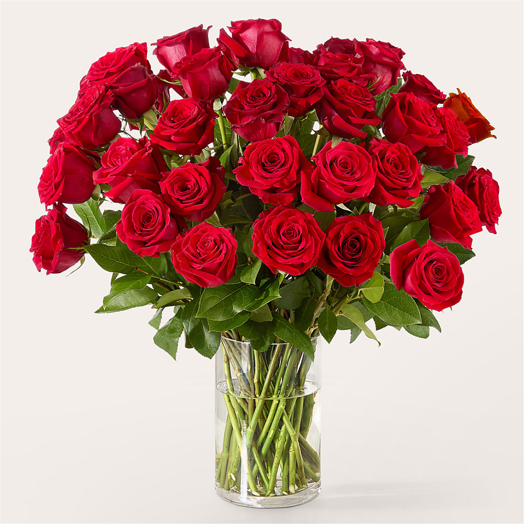 The One Red Rose Bouquet –  Buckeye Flowers, Marysville OH